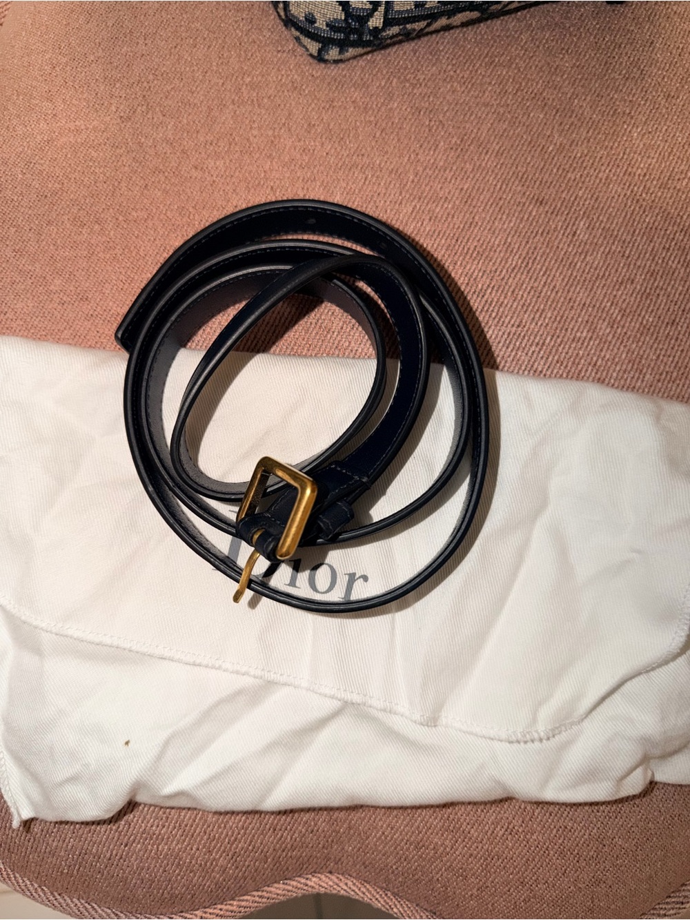 Dior Blue and Beige Monogram Zip Pouch - Picture 7 of 7